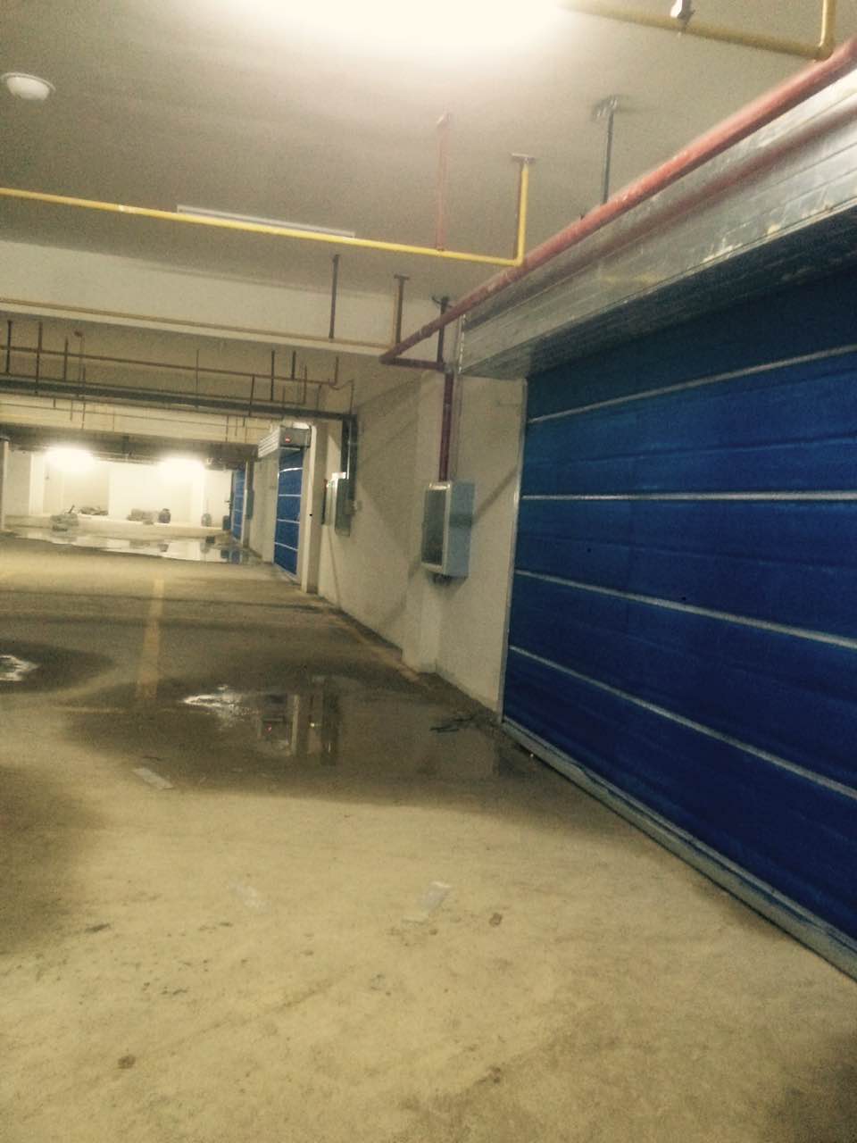 电动卷帘门在现代建筑中的应用与发展趋势