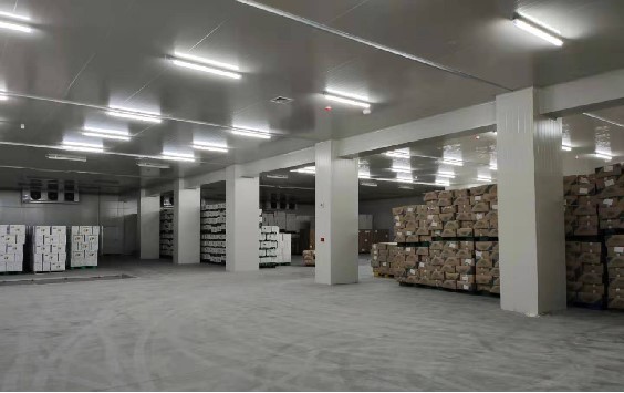 大型仓储物流低温库 大型仓储物流低温库