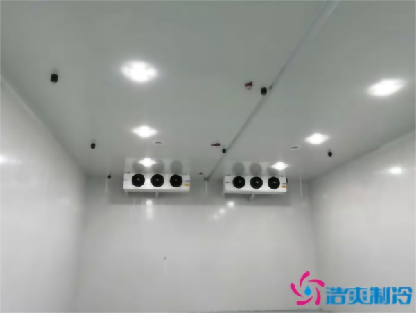 建造彩椒保鲜冷库安装费用需要多少钱? 建造彩椒保鲜冷库安装费用需要多少钱?