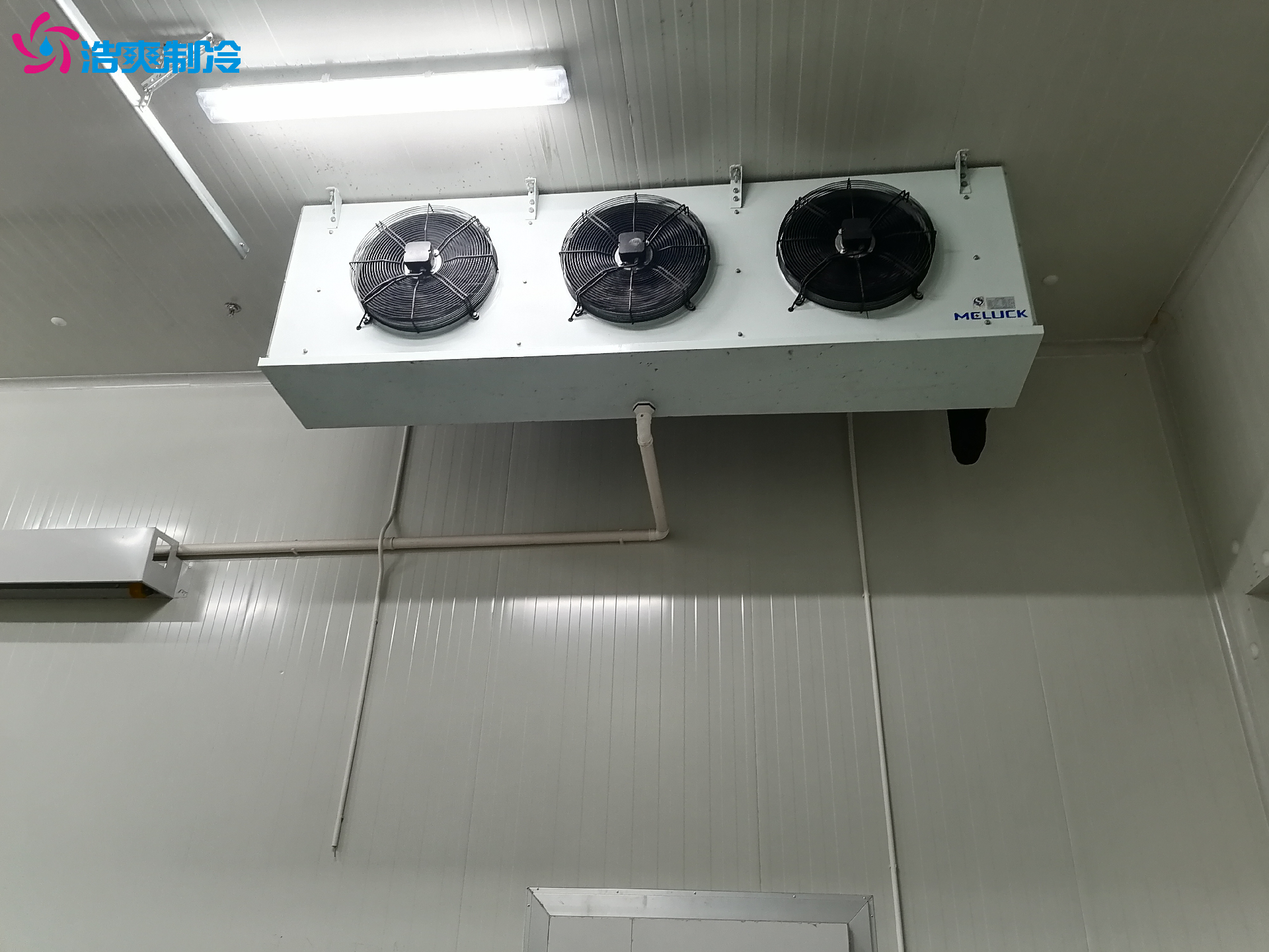 GSP认证 药品疫苗试剂医药冷库定制化设计安装