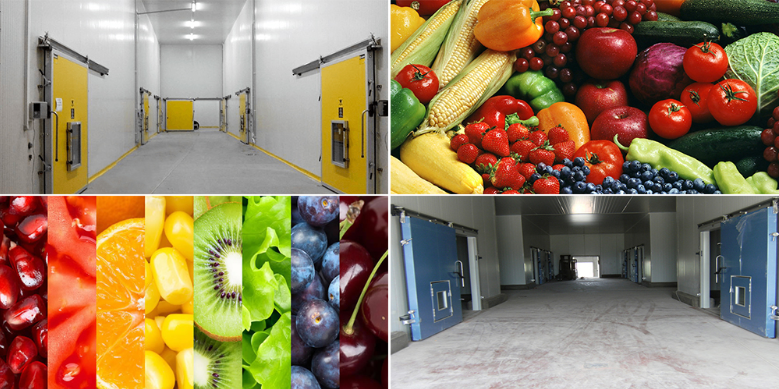 气调保鲜库 大中型果蔬冷藏库安装 冷库定制安装
