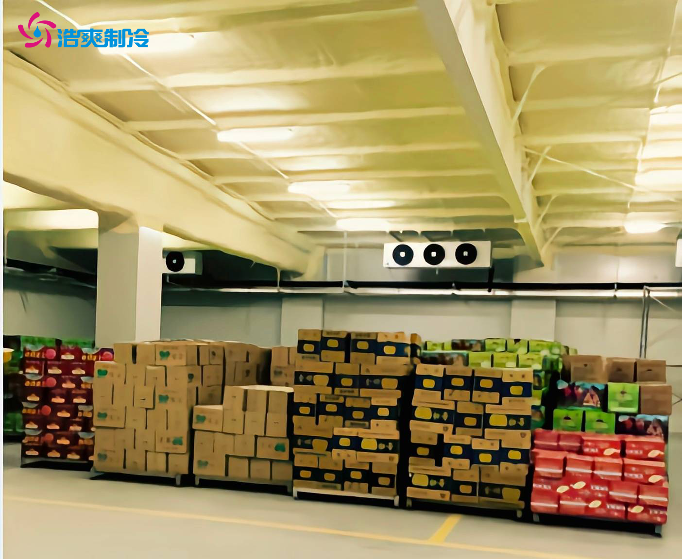 大型5000平方农产品保鲜冷库的建造价格