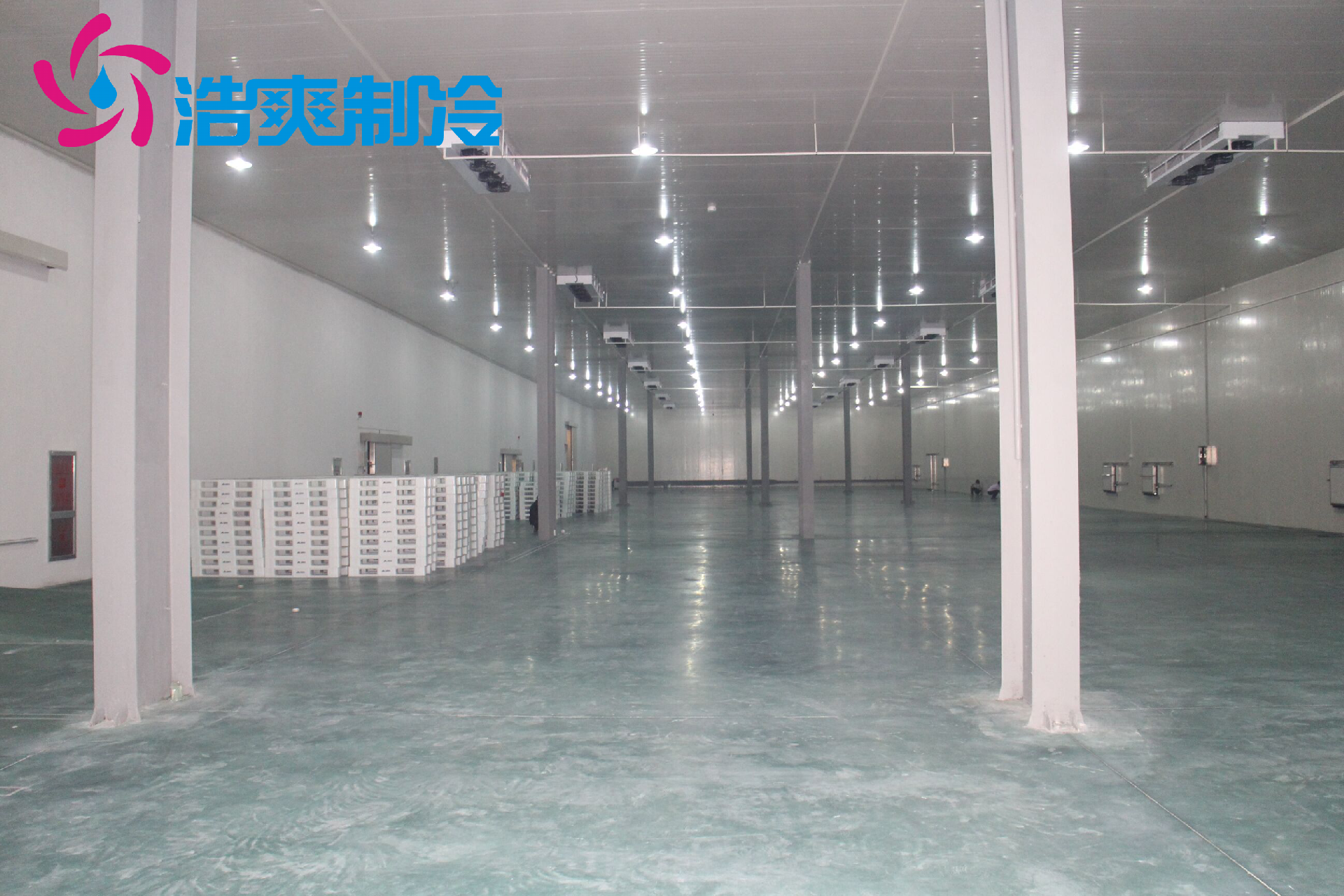 大型海鲜冷库设计方案介绍