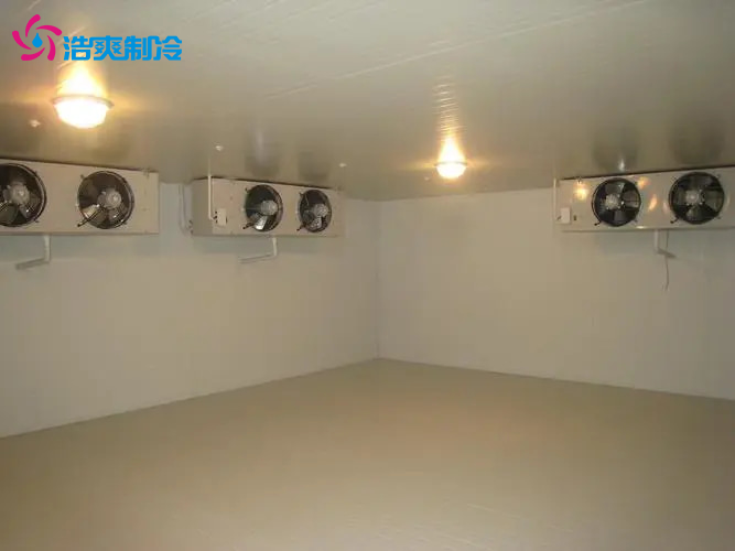 建造一个食品冷库需要有哪些具体要求 建造一个食品冷库需要有哪些具体要求