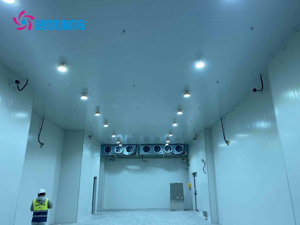 医药冷库建设标准及建造方案是什么