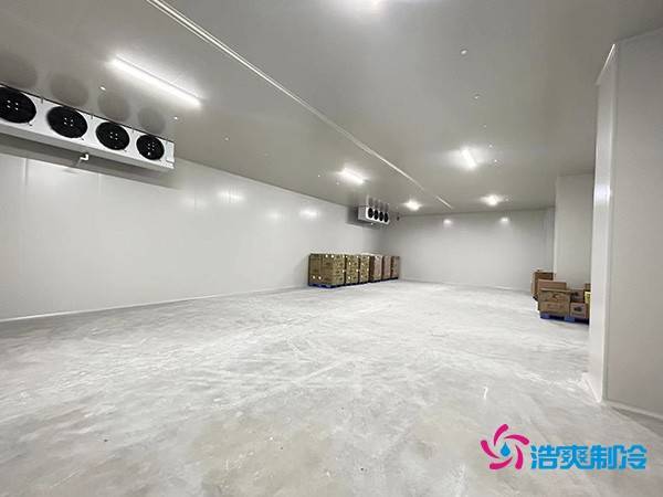 图为冷库建造完工内部实拍