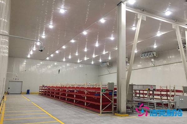 图为冷库货架内部实拍