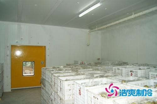 图示:六玄网132432制冷为蜜之源果业建造的柑橘气调冷库
