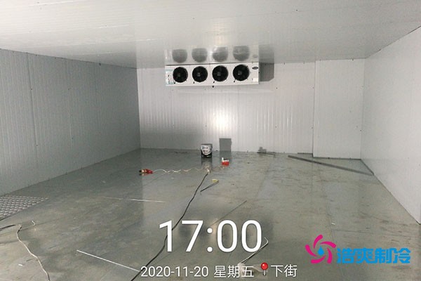 益民生鲜菜市蔬菜保鲜库内部实拍