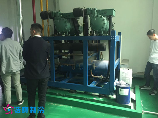 图为冷库使用的比泽尔活塞风冷并联压缩机组