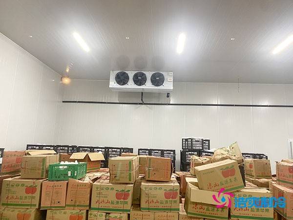 建设大型冷库造价成本需要多少资金投入呢？