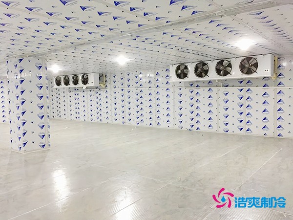 冷库造价一平米如何计算？智能冷库建造方案再降百元！