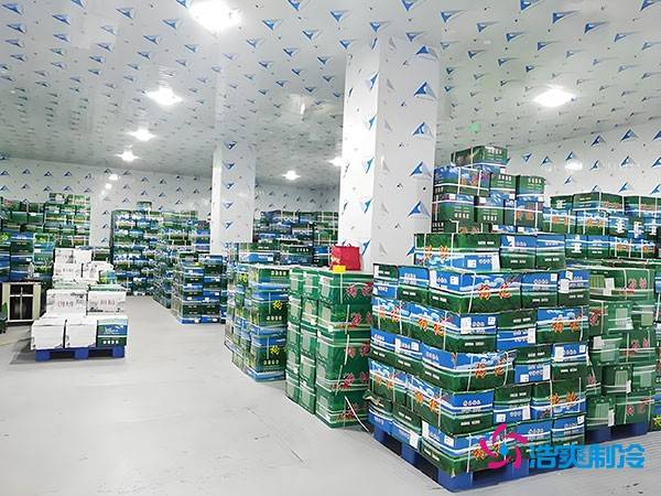 浙江绍兴建设果蔬保鲜冷库的费用大概多少钱？