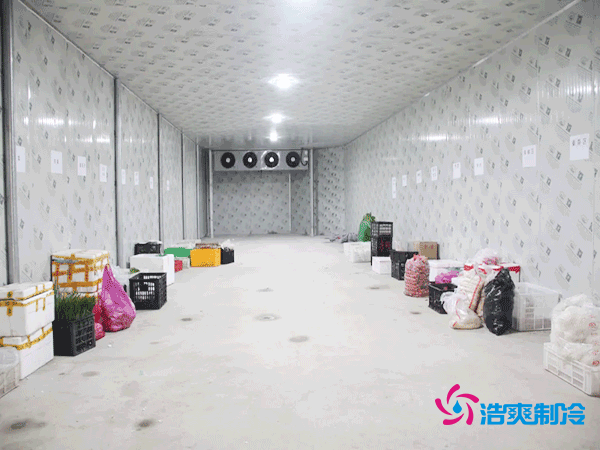 不同类型冷库造价