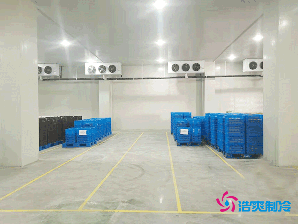 建造一座5000平方米的冷藏库造价需要多少资金？