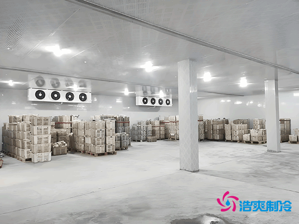 低温冷冻库造价指南,如何精准预算冷冻库建造成本?