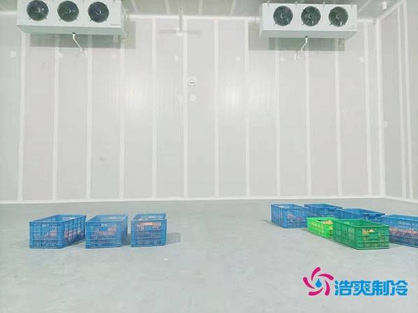 200吨蔬菜保鲜冷库造价多少钱？需要多大面积？