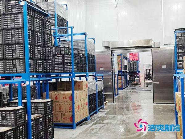 农副产品冷链保鲜库建设费用