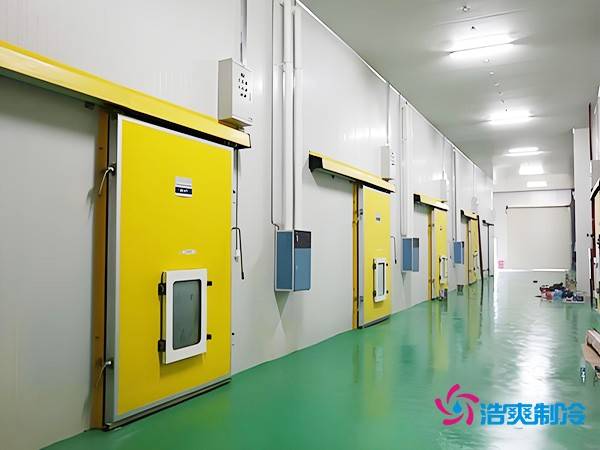 大型气调冷库造价