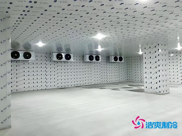 100平米冷冻库安装费用及造价多少钱?