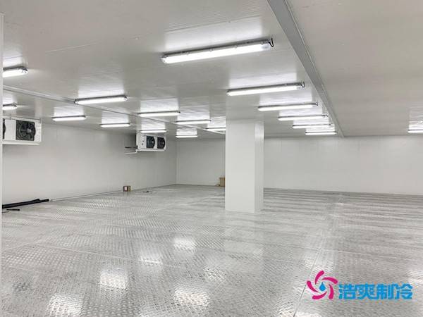 建造200吨冷冻肉低温冷库的造价详解