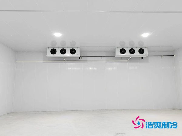 大约需要多少资金才能安装一座小型移动式冷库?