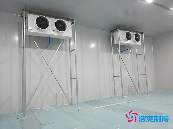 大约需要多少资金才能安装一座小型移动式冷库?