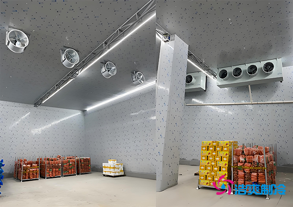 1000吨果蔬保鲜库造价揭秘，节省成本就靠这几点！