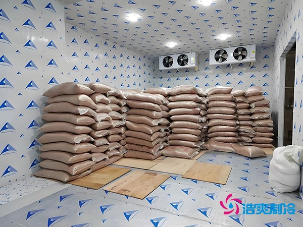 2万起建种子冷库？这些因素让造价翻倍！