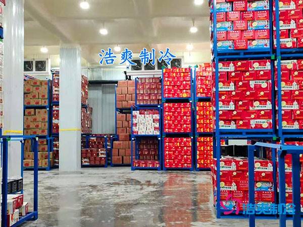 500平果蔬冷库造价曝光!35万起建,省钱秘诀在这里!