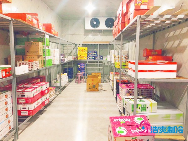 5吨水果需要多大冷库？答案出乎意料！