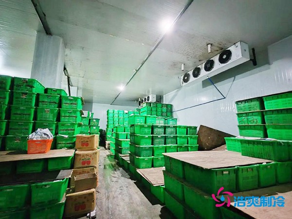 水果保鲜冷库建造价格每平米多少钱?