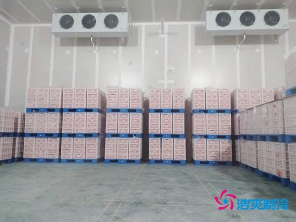 家庭农场气调冷库造价