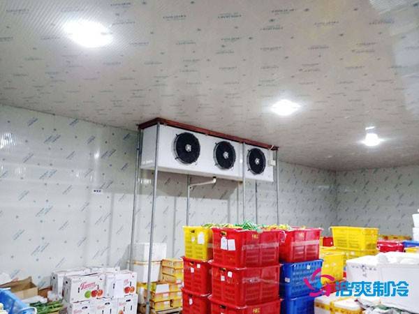 100平方米洋葱冷藏库造价