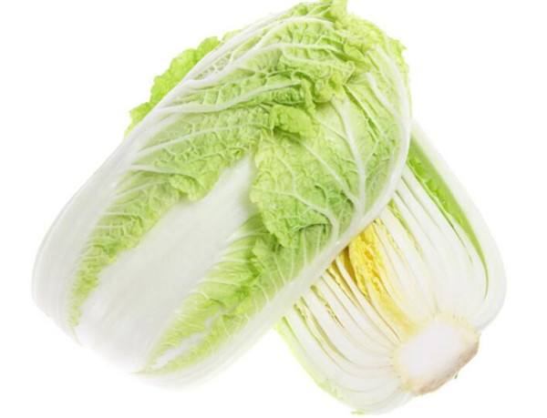 100吨大白菜冷库