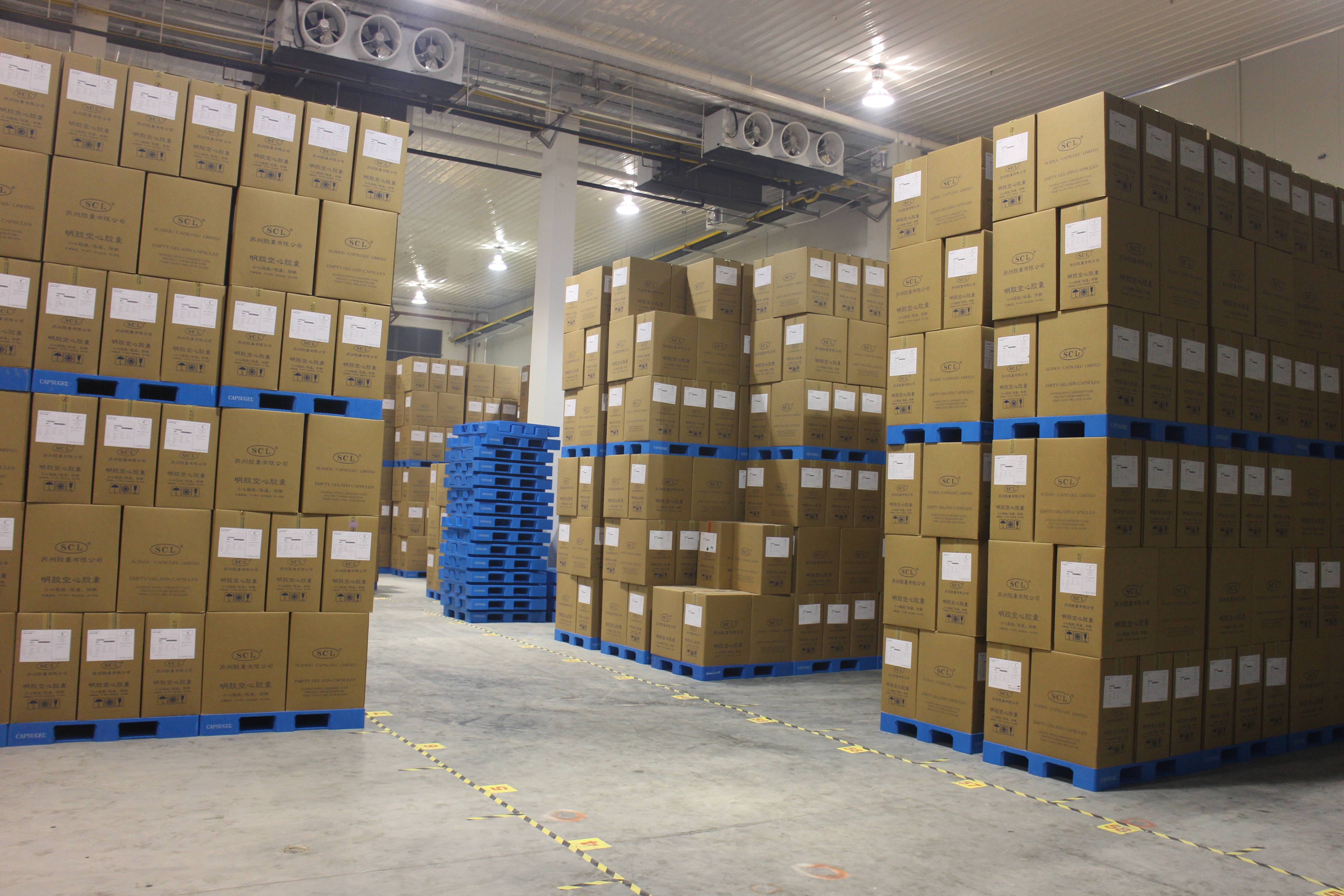 300吨蔬菜恒温库