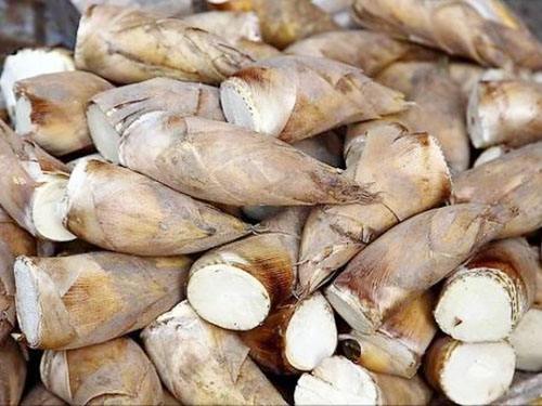 1000平方0-5℃冬笋保鲜库