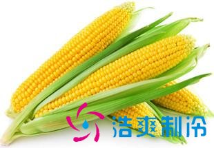 1000吨鲜玉米保鲜库