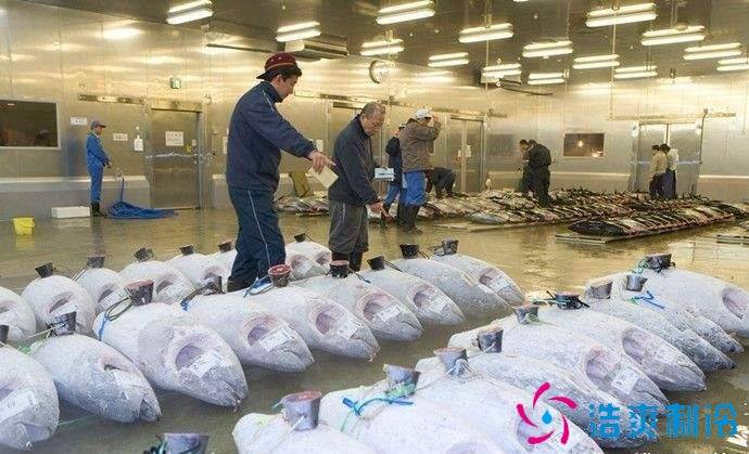 1000平米海鲜速冻冷库