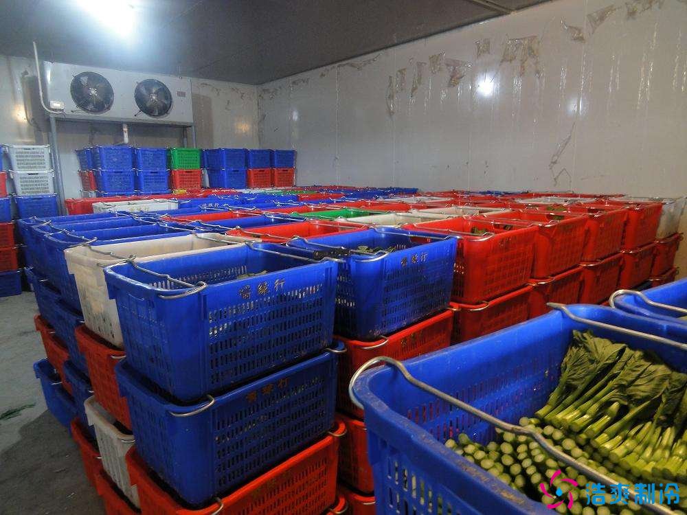 1000吨蔬菜保鲜冷库