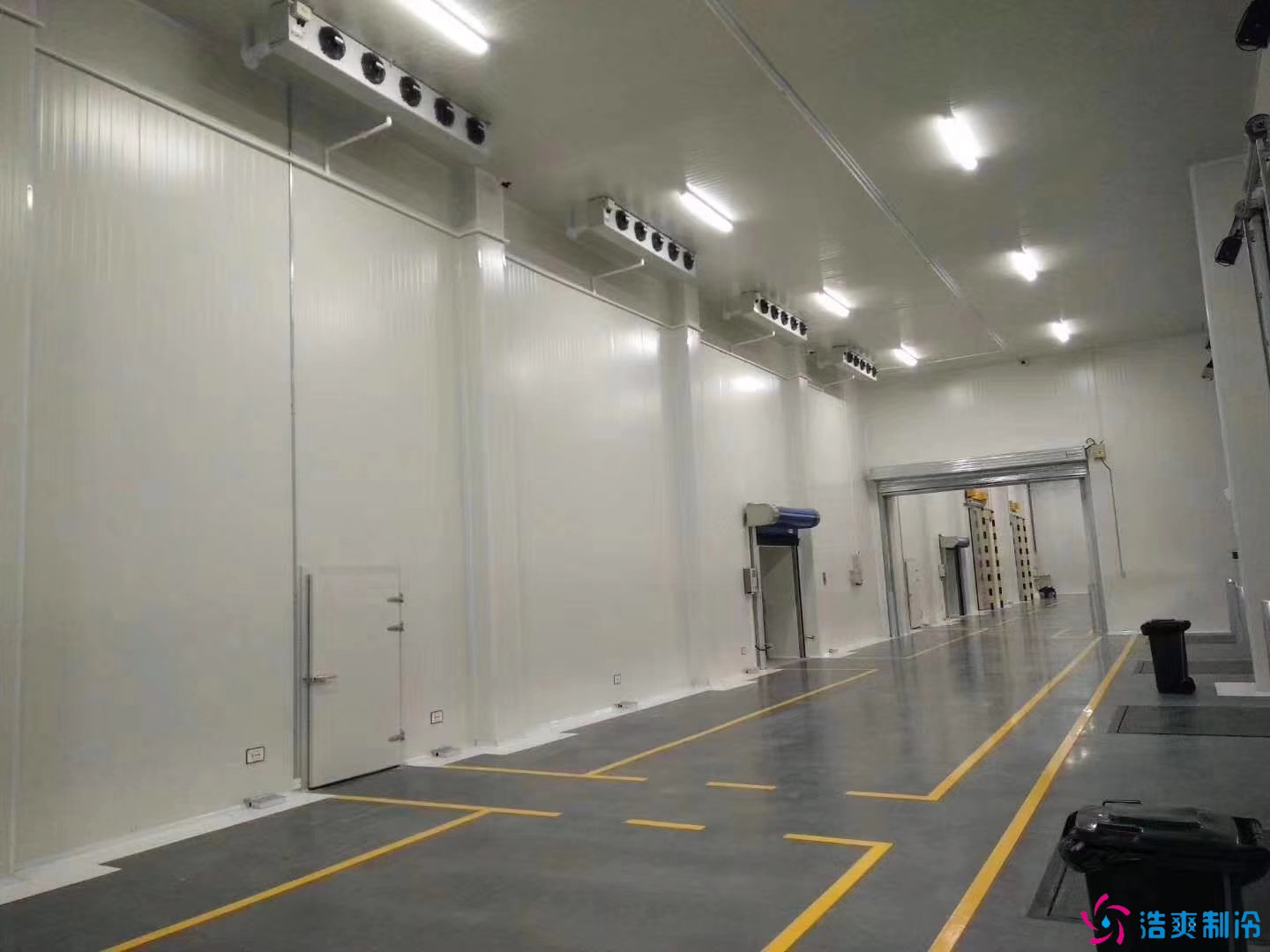 800平米牛肉冷冻库设计安装造价多少钱