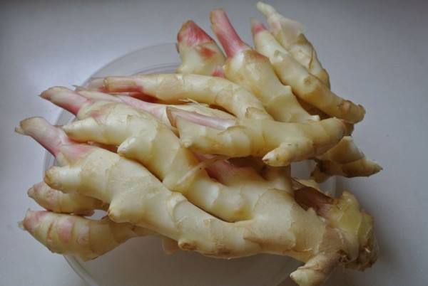 3000吨鲜姜冷库前期规划，冷库造价预算多少