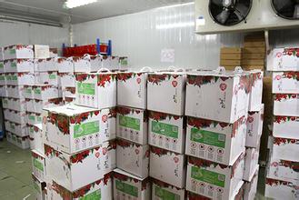 仓库改建水果冷库