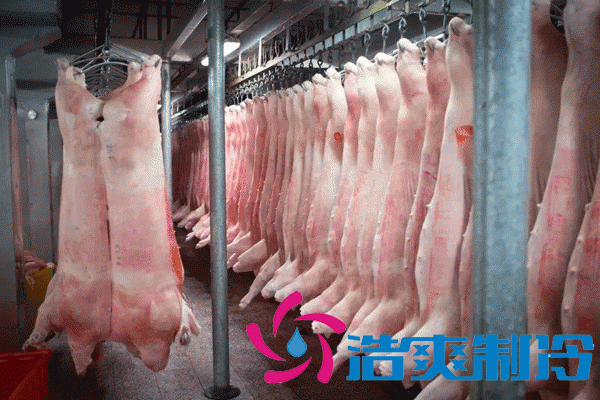 建造猪肉冷冻库