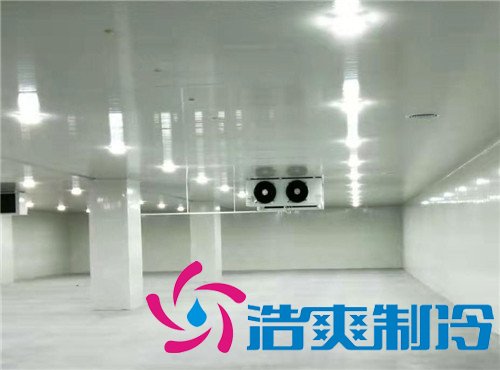600平4米高冷藏库