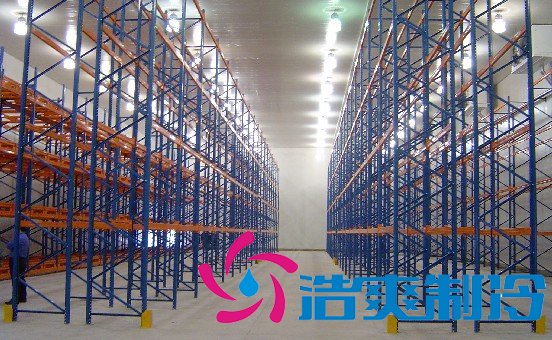 地下室建造5000平米冷库出租，冷库总成本是多少