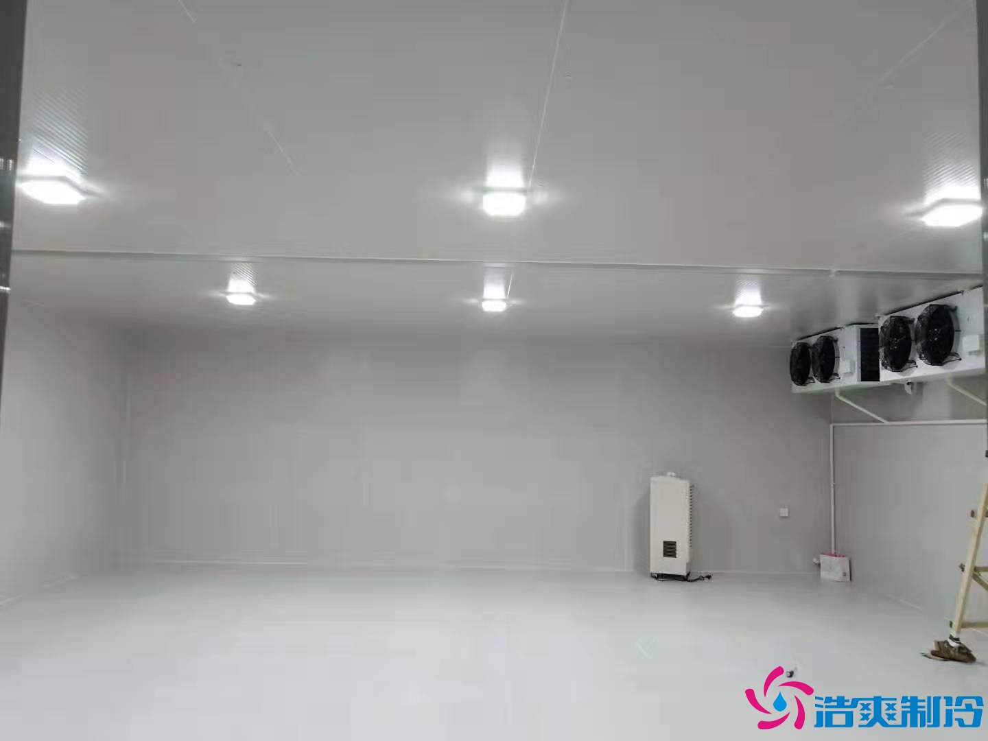 上海基因生物1000m3生物制品冷库（冷冻、冷藏）新建工程案例