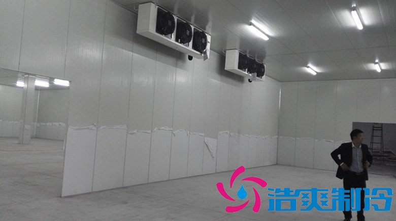 四川远大蜀阳5000m3血液制品低温冷藏库新工程案例