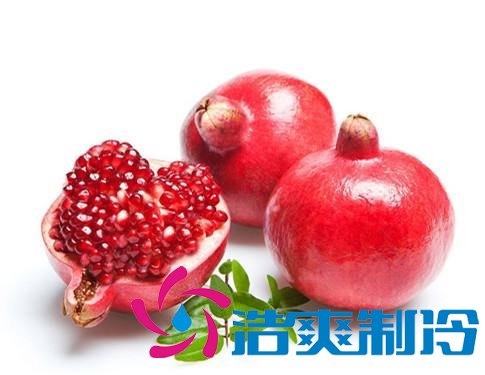 四川会理石榴冷库