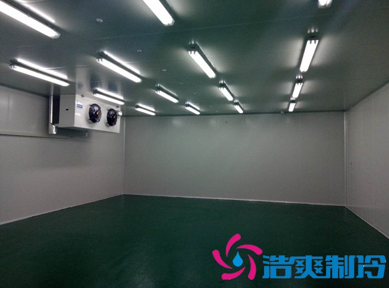 药品冷库内景图片